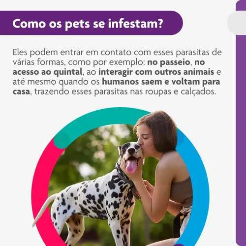 Bravecto Cães 20-40kg 1000mg 1 Comp. Mastigável Msd Azul 4