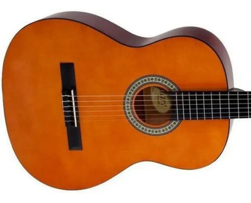Violão Clássico Giannini N-14 Natural Tampo Sabina Verniz Brilhante Com Cordas De Nylon 10
