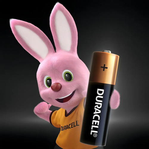 Pilha Alcalina Aa Pequena Duracell Com 2 Unidades 3