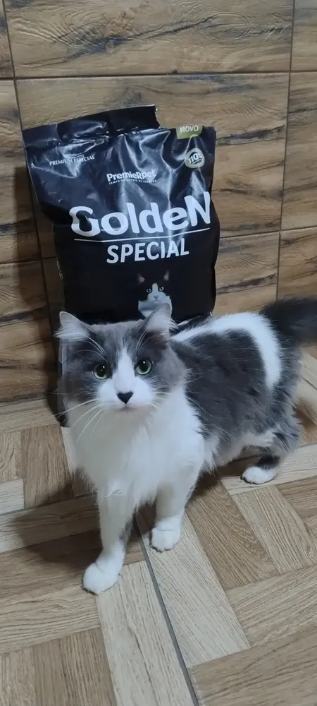 Ração Gatos Ad Cast 6 Meses A 6 Anos Frang 500 G 12