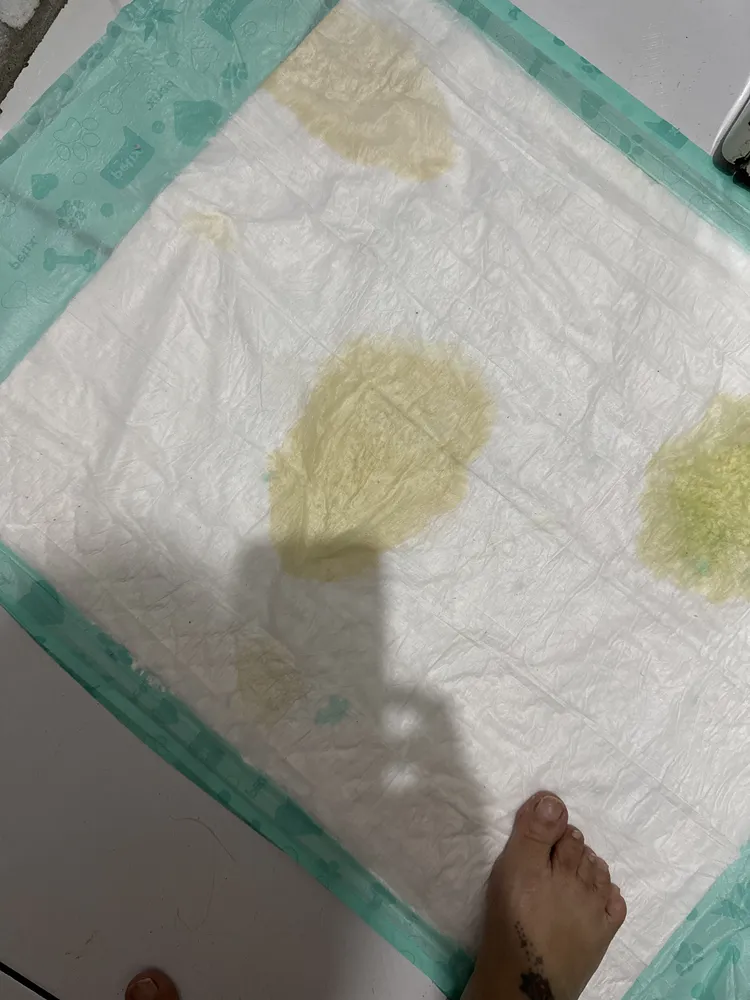 Petix Super Secão Tapete Higiênico 30 unidades 80cm x 60cm 10
