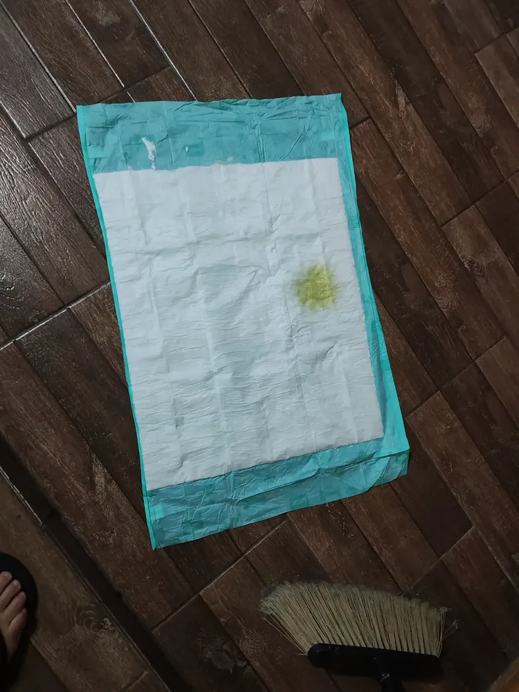 Petix Super Secão Tapete Higiênico 30 unidades 80cm x 60cm 13